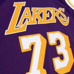 Mitchell & Ness Pánský dres Los Angeles Lakers NBA Dennis Rodman #73 Swingman - Fialová Velikost: L