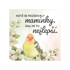 Magnetka - Maminka - Albi