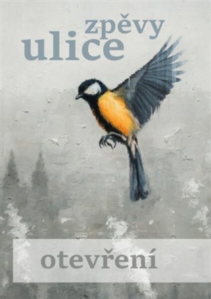 Zpěvy ulice