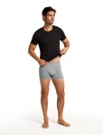 Pánské merino boxerky ICEBREAKER Mens 125 ZoneKnit Boxers, Alloy velikost: S