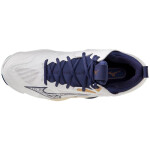 Volejbalová obuv Mizuno Wave Momentum 3 MID M V1GA231743 46,5