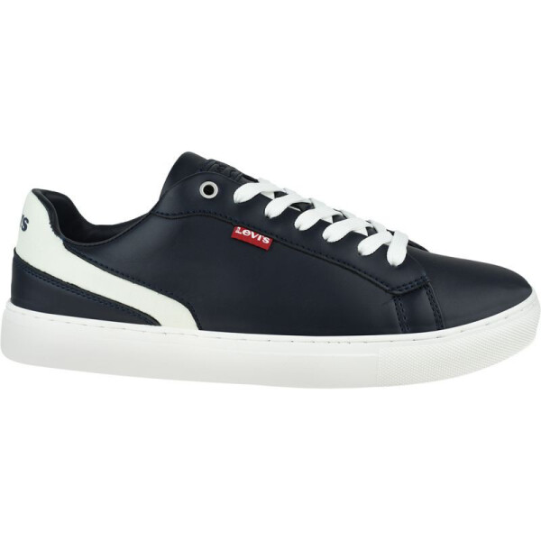 Levi's Vernon TD M 231539-841-17 45