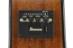 Ibanez AAM50LCE Light Brown Sunburst