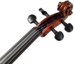 Eastman Ivan Dunov Superior Violin 4/4 (VL402 )
