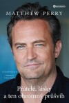 Přátelé, lásky ten ohromný průšvih Matthew Perry