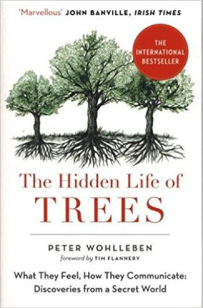 The Hidden Life of Trees : The International Bestseller - What They Feel, How They Communicate - Peter Wohlleben