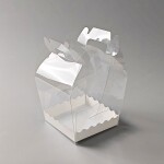 Cake star plastový box na Bento dort s úchytem 19,5x19,5x20cm