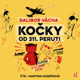 Kočky od 311. peruti - Dalibor Vácha - audiokniha