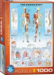 EUROGRAPHICS Puzzle Lidské tělo