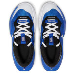 Dětské basketbalové boty Air Zoom Coossover Jr DC5216 401 Nike 1/2