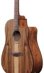 Ibanez V40WSCE Brown