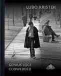 Lubo Kristek Genius Loci Cobwebbed