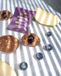 Vilgain Energy Ball BIO – borůvka a jablko 30 g