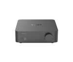 WiiM Vibelink Amp - Grey EDF_819225
