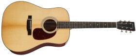 Eastman E6D-TC