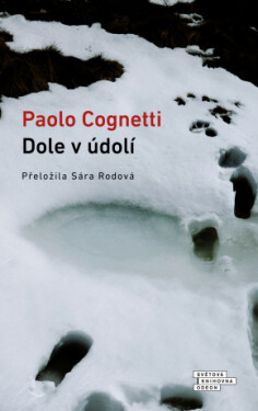 Dole v údolí - Paolo Cognetti - e-kniha