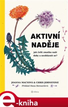 Aktivní naděje. Jak čelit zmatku naší doby a nezbláznit se - Joanna Macyová, Chris Johnstone e-kniha