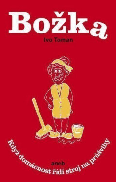 Božka aneb Když domácnost řídí stroj na průšvihy - Ivo Toman