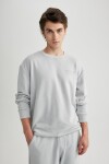 DEFACTO Regular Fit Crew Neck Printed Sweatshirt