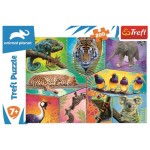 Trefl Puzzle Animal Planet: Svět exotických zvířat/200 dílků