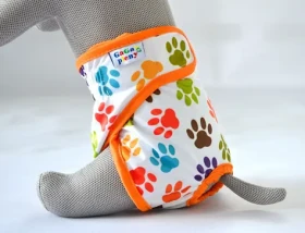 GaGa's Kalhotky pro psy Packy S (8594197441354)