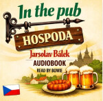 IN THE PUB - Jaroslav Bálek