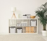 ROTHO Úložný box BRISEN 4,5L - bílý