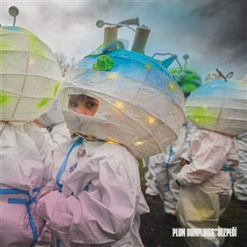 Bezpečí - CD - Dumplings Plum