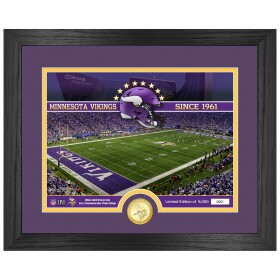 Obraz Minnesota Vikings NFL Team Stadium Bronze Coin