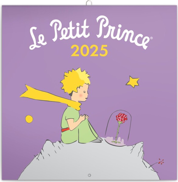 Kalendář 2025 poznámkový: Malý princ, 30 30 cm