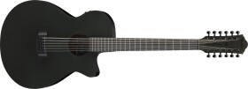 Ibanez AEG1221-BOT