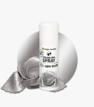 Barva ve spreji Food Colours New Silver (50 ml) Stříbrná