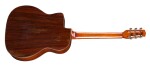 Eastman DM2/v