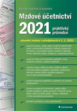 Mzdové účetnictví 2021 - Václav Vybíhal, kol. (e-kniha)