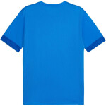 Puma teamGoal Matchday Jersey M 705747 02 pánské s