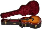 Taylor 214ce Plus Special Ziricote