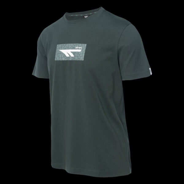 Pánské tričko s krátkým rukávem AMILO XL