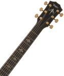 Taylor 924ce-K 50th Anniversary + Circa 74 amp Limited Edition