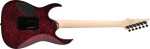Ibanez RG470DXW-WZM