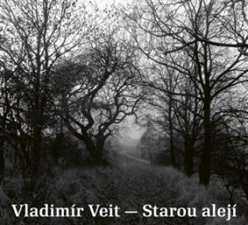 Starou alejí - CD - Vladimír Veit