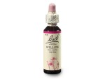 Vrba žlutá (Willow) 20 ml- Bachovy esence Dr.Bach