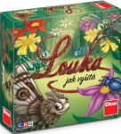 LOUKA VYŠITÁ