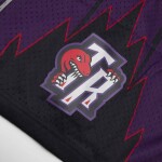 Mitchell & Ness Pánské kraťasy Toronto Raptors NBA 1998-99 Swingman Shorts - Fialová Velikost: L