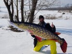 Gaby Polštář Štika monster 200 cm,Gaby Polštář Štika monster 200 cm