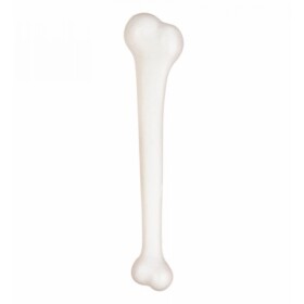 R-Kontakt.cz Kost bílá 38 cm