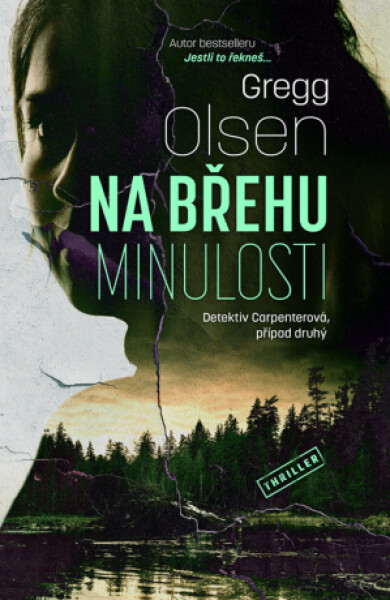 Na břehu minulosti - Gregg Olsen - e-kniha