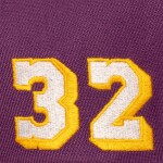 Mitchell & Ness Pánská kšiltovka Los Angeles Lakers NBA Magic Johnson Pro Pinch Snapback
