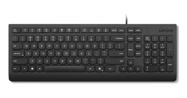 Lenovo Essential Wired Keyboard černá / Klávesnice / Drátová / USB-A / US (4Y41R64672)