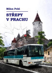 Střepy v prachu - Milan Pohl