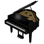 Roland GP-9M PE